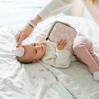 Set kam en borstel rozen - thumbnail