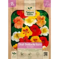 Oost-indische kers lage mengsel 20st - thumbnail