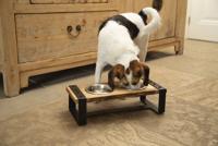 DBL HOUT DINERSET H KARINTO48X22X18 - thumbnail