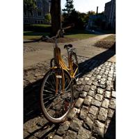 Sigma 16mm f/1.4 DC DN (C) RF Mount - thumbnail