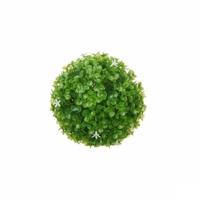 Decoratieve plant Ibergarden Plastic Blommor Lakens Klot 17 x 17 x 17 cm (12 Stuks) - thumbnail