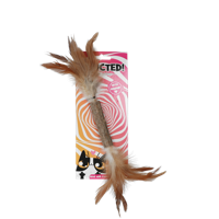 Addicted Stick with caterpillar and feathers - thumbnail