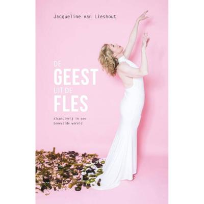 De geest uit de fles - Jacqueline van Lieshout - Paperback (9789082500745)