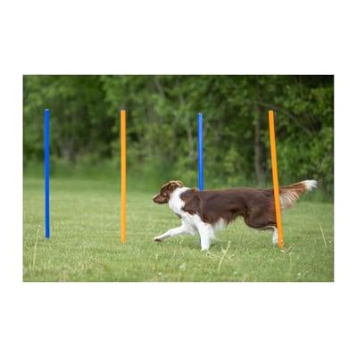 TRIXIE Agility-Slalomstangen Fun Agility, blauw/oranje - thumbnail