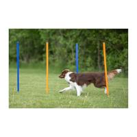 Trixie dog activity agility slalom stokken blauw / oranje - thumbnail