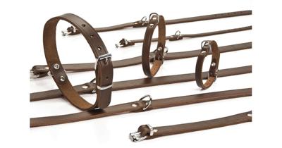 Lederen honden halsband bruin - 62 cm x 25 mm