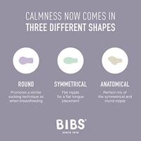 Bibs Fopspeen 0-6 Maanden Symmetrical Vanilla/Pine - thumbnail