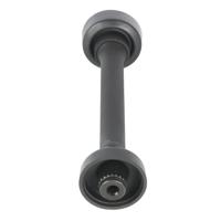 Pluimhortensia - thumbnail