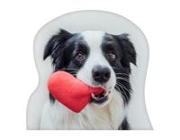 Border Colli sierkussen gevormd - thumbnail