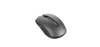 Rapoo Muis Mm 2.4ghz Grijs7200 - thumbnail