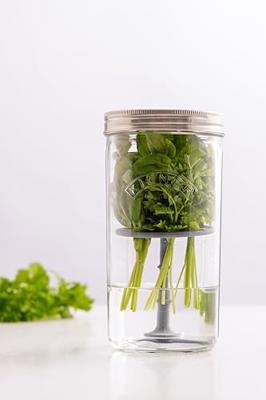 KILNER - Set om kruiden te bewaren 1,00l