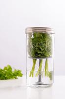 KILNER - Set om kruiden te bewaren 1,00l - thumbnail