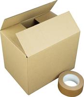 Raadhuis RD-351127-10 Verzenddoos 305x220x250mm 10 Stuks - thumbnail