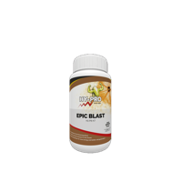 Hy-Pro Hy-Pro Epic Blast Coco - thumbnail