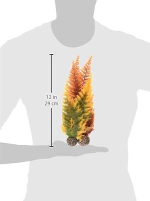 Herfstvaren set 2 - Biorb