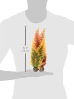 Herfstvaren set 2 - Biorb - thumbnail