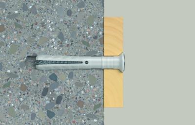 fischer nagelpluggen [50x] - N-S - 6x80 mm - 50353