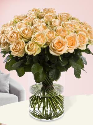 50 zalmkleurige rozen - XL rozen - Avalanche Peach