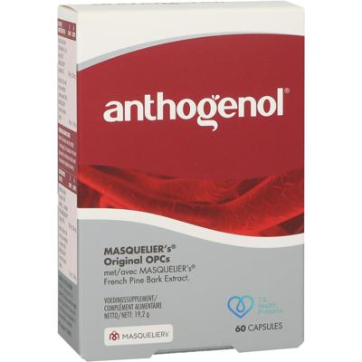 Masqueliers Anthogenol Capsules