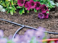 Hozelock 2772 Verdeelslang Ø 4 mm druppelsysteem - thumbnail