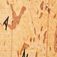 Kamerscherm inklapbaar wereldkaart 200x170 cm geel - thumbnail