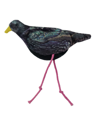 Wild Life Cat Starling (Spreeuw)