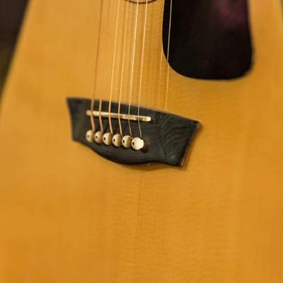 Washburn Apprentice D5 westerngitaar - thumbnail