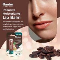 Himalaya Herbals Lippenbalsem Cacaoboter - thumbnail
