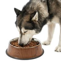 Nobleza Luxe hondenvoerbak - RVS met houtmotief - Maat L - thumbnail