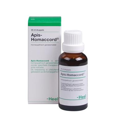 Heel Apis Homaccord 30ml