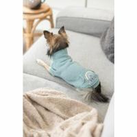 Hondentrui Trixie Littleton Menta XS, merk: Trixie - EAN: 4053032675414 - thumbnail