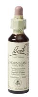 Bach Flower Remedies Haagbeuk 17 - thumbnail