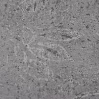 Vloerplanken 5,26 m 2 mm PVC cementbruin - thumbnail