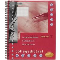 Multo collegedictaat ft 16,5 x 21 cm, geruit 5 mm, 17-gaats - thumbnail