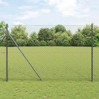 Gaashekwerk Grijs 10 x 1.6 m Staal