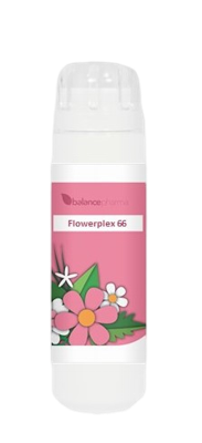 Balance Pharma Flowerplex 066 Troost