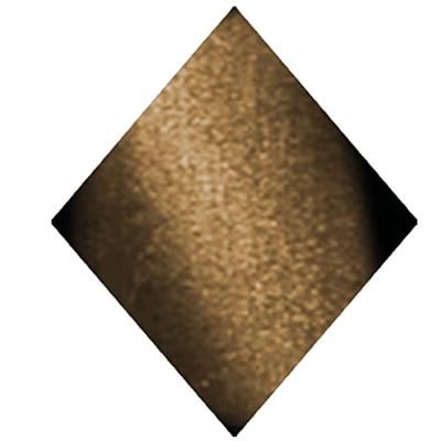 NailPerfect UPVOTED Cateye Magnetic Gel Maine Coon 15ml