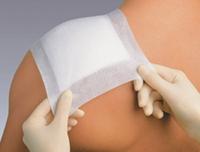 Omnifix Elastic. 5cmx10m 1 P/s - thumbnail