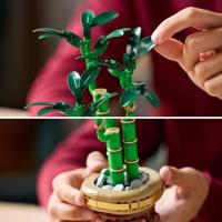 LEGO ICONS 10344 The Botanical Collection - Geluksbamboe - thumbnail
