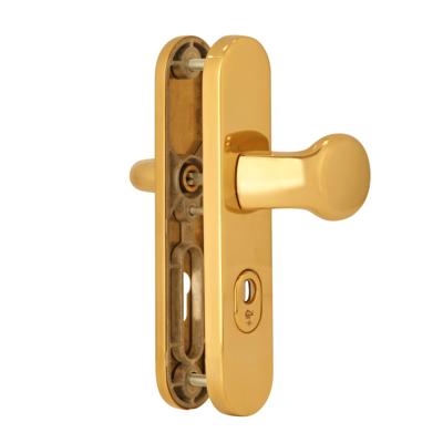 Dieckmann Europa messing gepolijst achterdeurbeslag met binnen en buiten Kruk en afgerond schild D8648M