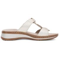 Ara 1229003 - alle - thumbnail