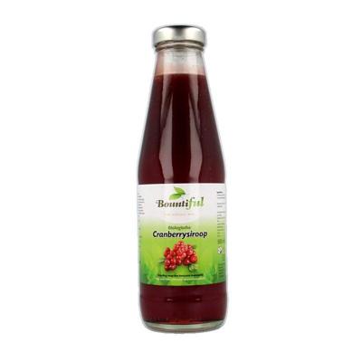 Cranberrysiroop bio 500 Milliliter