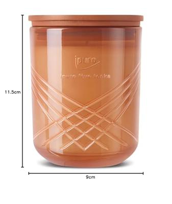 IPuro geurkaars feve tonka 270gr