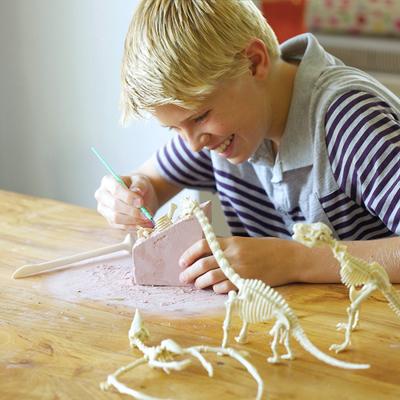4M graaf je eigen dinosaurus op de T rex kidzlabs