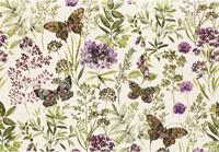 Amethyst Butterflies Notitiekaarten 14 stuks - thumbnail