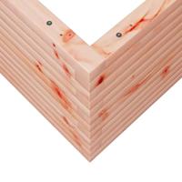 Plantenbak 50x50x45,5 cm massief douglashout - thumbnail