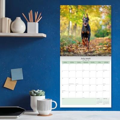 Dobermann Kalender 2026 Dobermann Kalender 2026