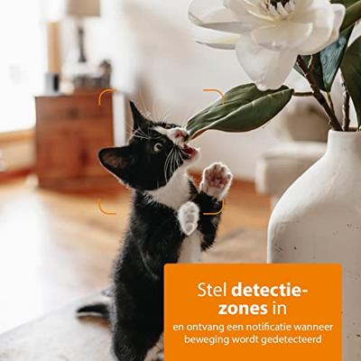 Smartwares CIP-37350 IP Bewakingscamera WiFi 1920 x 1080 Pixel Smartwares CIP-37350 IP Bewakingscamera WiFi 1920 x 1080 Pixel