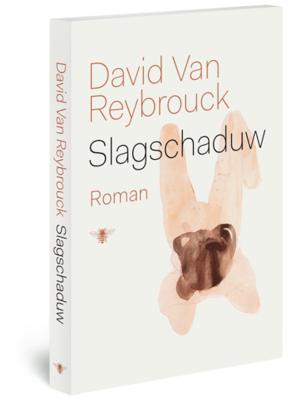 Slagschaduw - David van Reybrouck - Paperback (9789023491873)