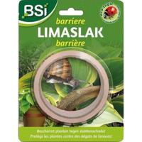 Koperband slakken Ongediertebestrijding BSI - Bsi - thumbnail